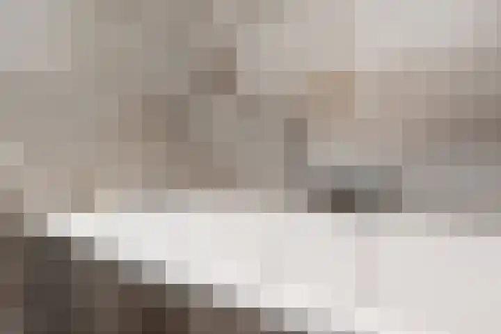 Vossenzoom 253 Pijnacker thumbnail 43