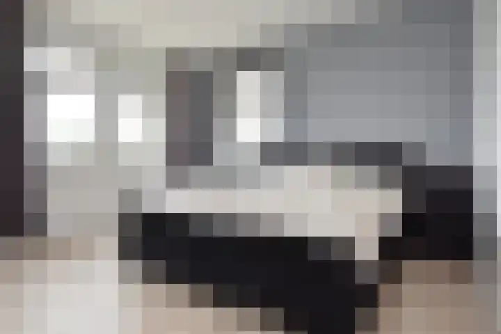 Vossenzoom 253 Pijnacker thumbnail 44