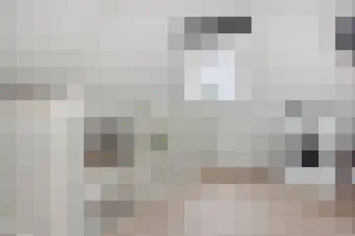 Vossenzoom 253 Pijnacker thumbnail 48