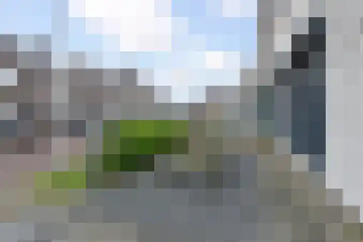 Vossenzoom 253 Pijnacker thumbnail 53