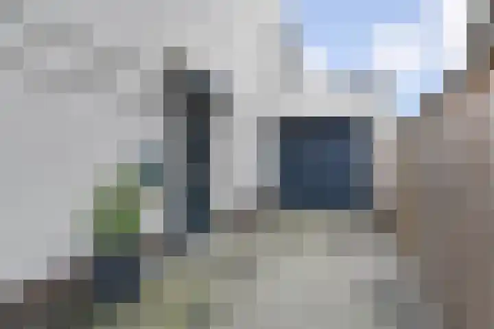 Vossenzoom 253 Pijnacker thumbnail 6
