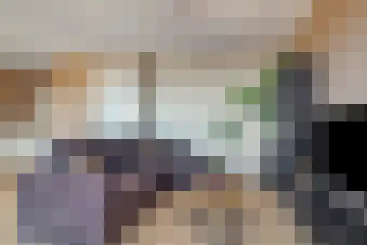 Vossenzoom 73 Pijnacker thumbnail 13