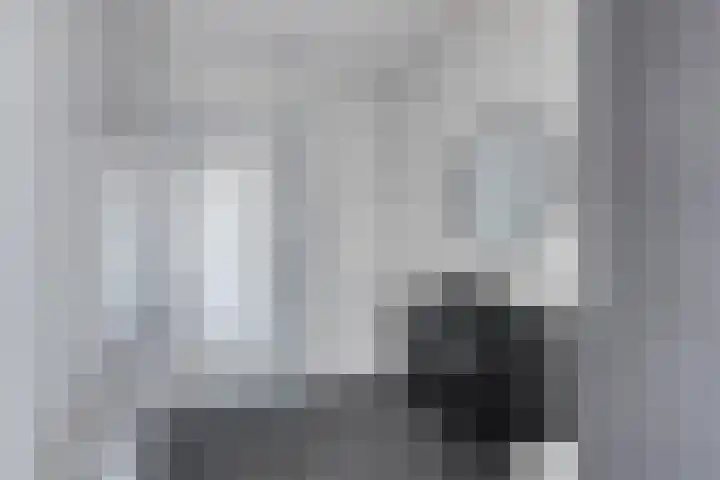 Vossenzoom 73 Pijnacker thumbnail 18