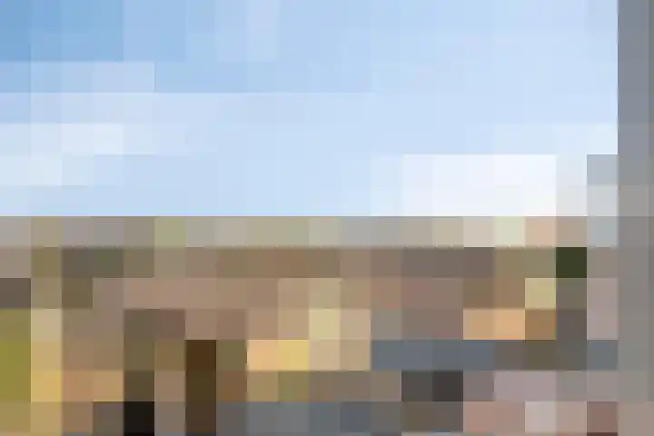Vossenzoom 73 Pijnacker thumbnail 20