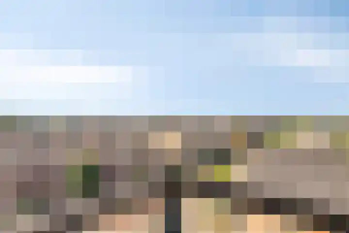 Vossenzoom 73 Pijnacker thumbnail 21