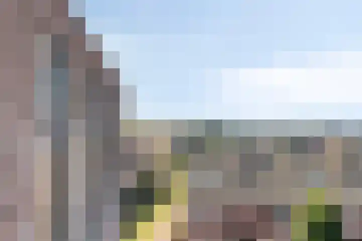 Vossenzoom 73 Pijnacker thumbnail 22