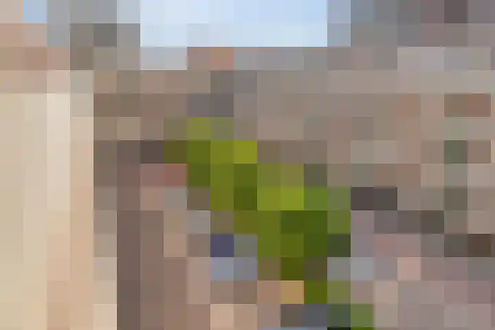 Vossenzoom 73 Pijnacker thumbnail 23