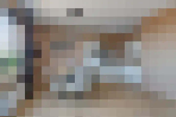 Vossenzoom 73 Pijnacker foto 3
