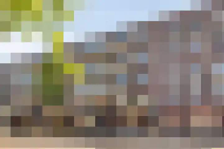 Vossenzoom 73 Pijnacker thumbnail 6