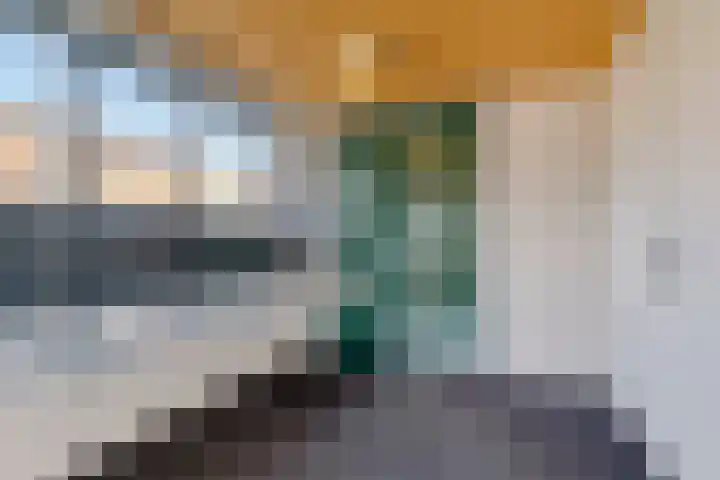 Vossenzoom 73 Pijnacker thumbnail 8