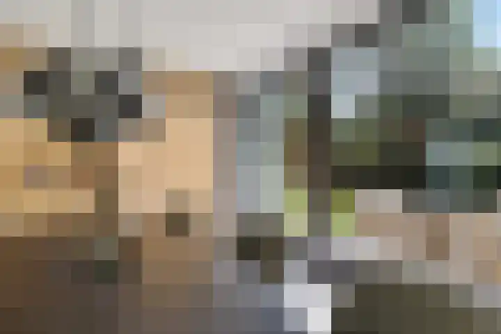 Vossepad 7 Emmen thumbnail 13