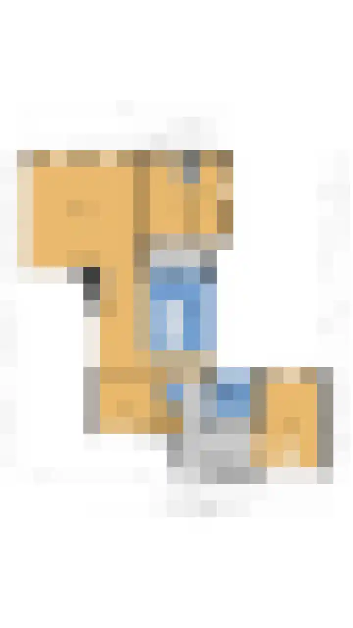 Vossepad 7 Emmen thumbnail 52