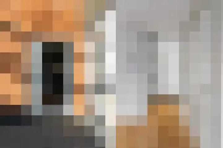 Vossermeer 16 Barendrecht thumbnail 4
