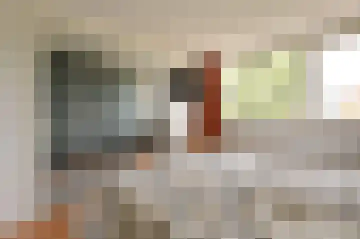 Vossestaart 19 Huizen thumbnail 11