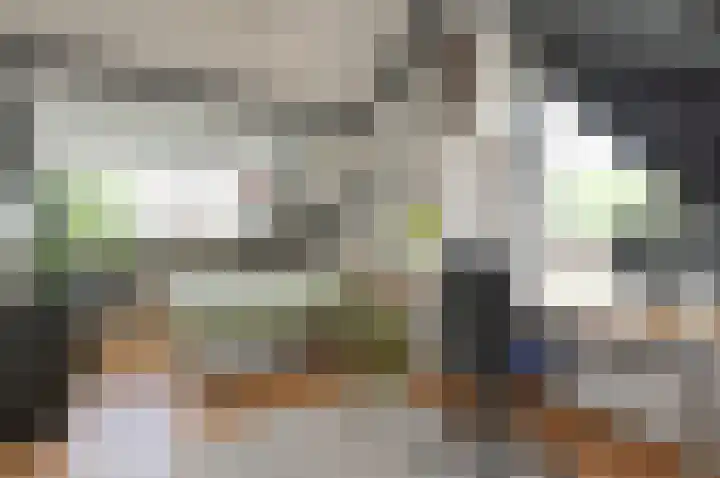 Vossestaart 19 Huizen thumbnail 14