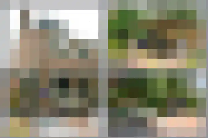 Vossestaart 19 Huizen thumbnail 17
