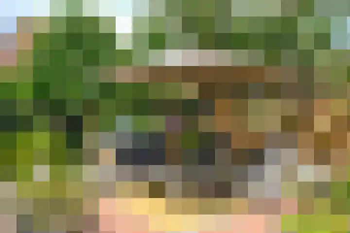 Vossestaart 19 Huizen thumbnail 19