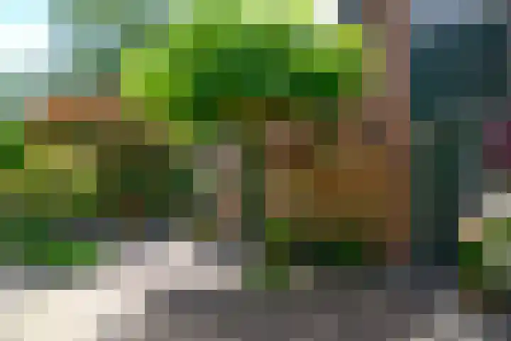 Vossestaart 19 Huizen thumbnail 21