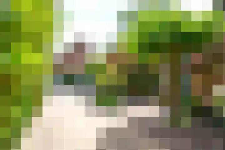 Vossestaart 19 Huizen thumbnail 22
