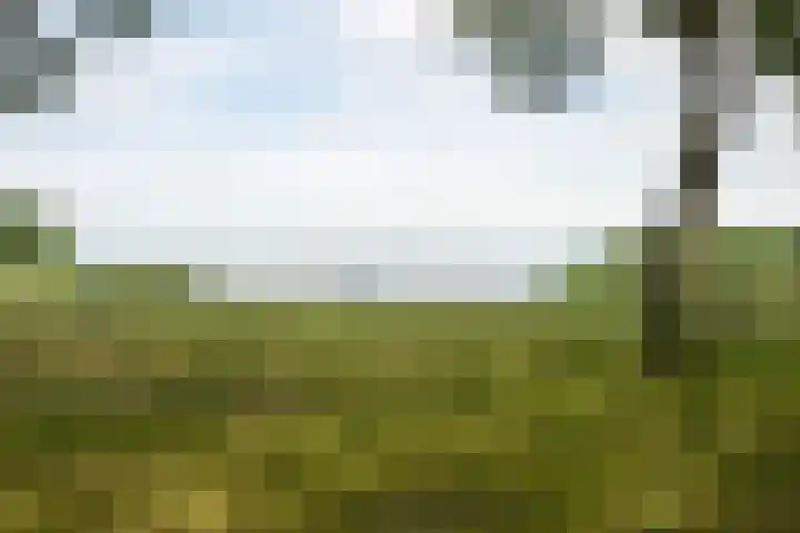 Vossestaart 19 Huizen thumbnail 24
