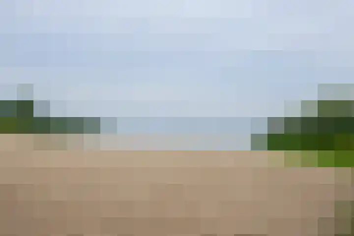 Vossestaart 19 Huizen thumbnail 25