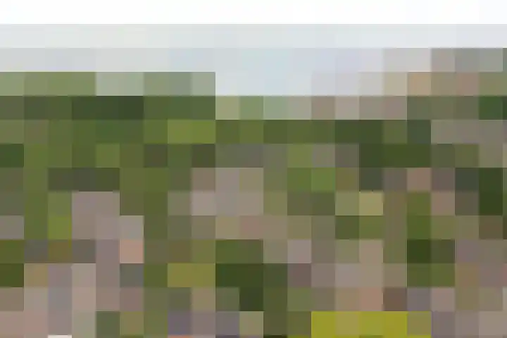 Vossestaart 19 Huizen thumbnail 26