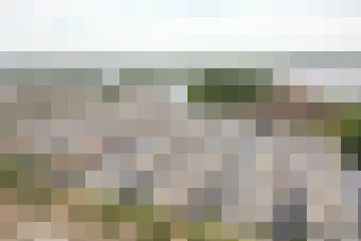 Vossestaart 19 Huizen thumbnail 28