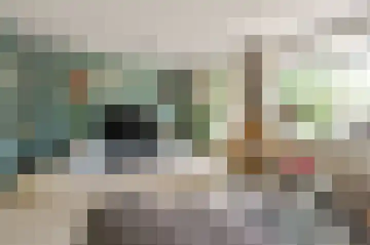 Vossestaart 19 Huizen thumbnail 4