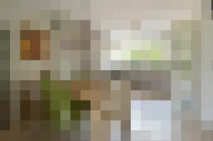Vossestaart 19 Huizen thumbnail 7