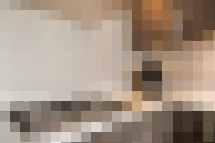 Vossestaart 31 Venray thumbnail 12