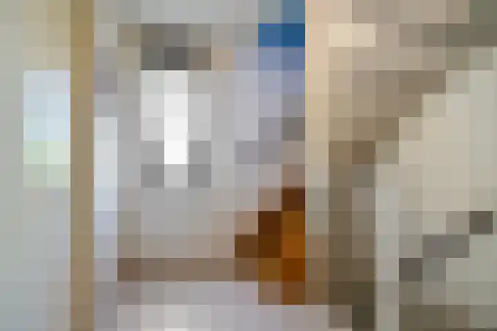 Vossestaart 31 Venray thumbnail 14
