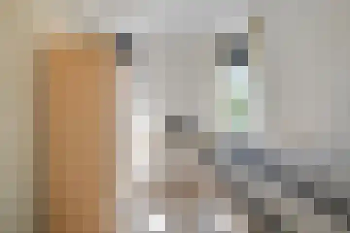 Vossestaart 31 Venray thumbnail 16
