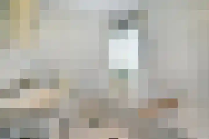 Vossestaart 31 Venray thumbnail 18