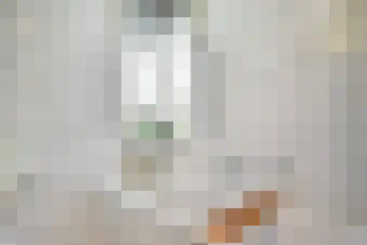 Vossestaart 31 Venray thumbnail 21