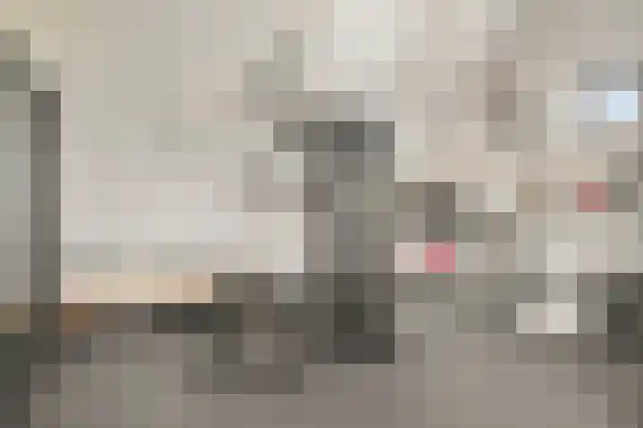 Vossestaart 31 Venray thumbnail 23