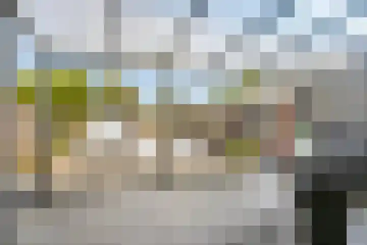 Vossestaart 31 Venray thumbnail 25