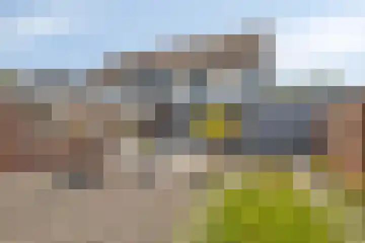 Vossestaart 31 Venray thumbnail 29