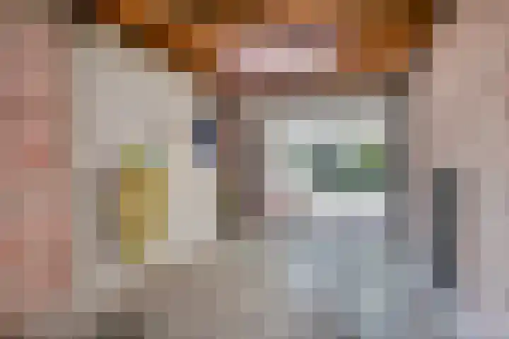Vossestaart 31 Venray thumbnail 33