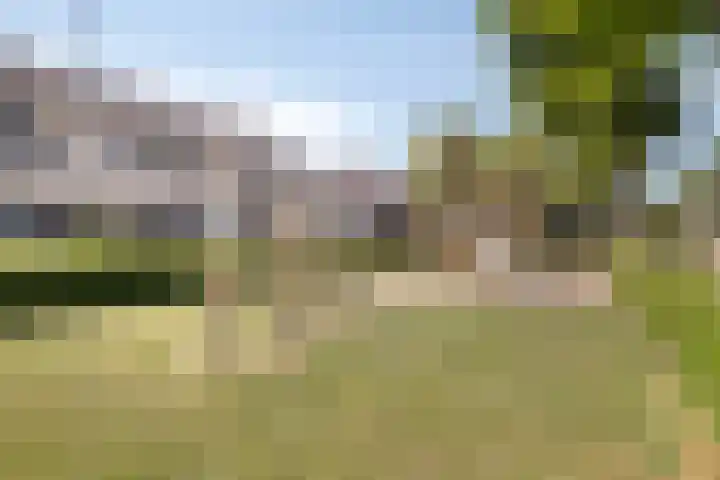 Vossestaart 31 Venray thumbnail 35