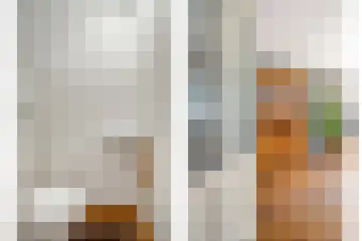 Vossestaart 31 Venray thumbnail 4
