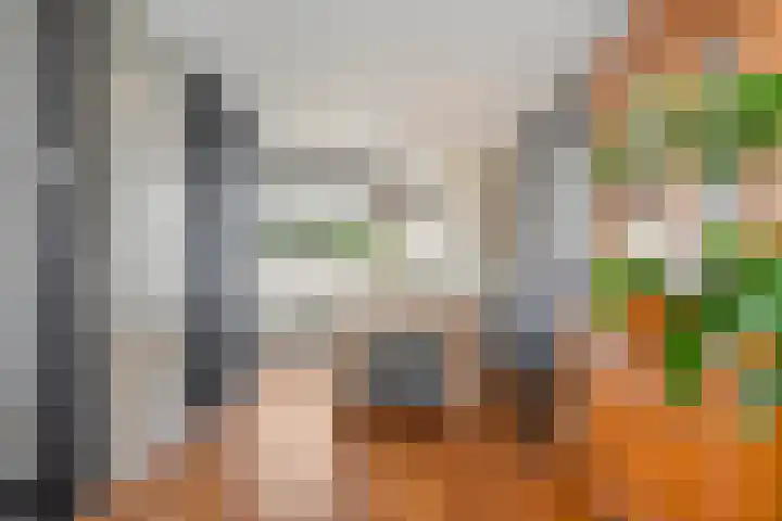 Vossestaart 31 Venray thumbnail 8