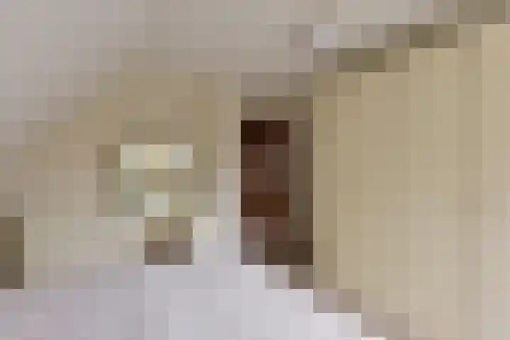Vossestaart 5 Wilnis thumbnail 17
