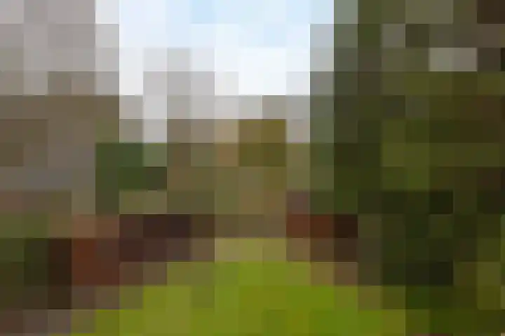 Vossestaart 5 Wilnis thumbnail 18
