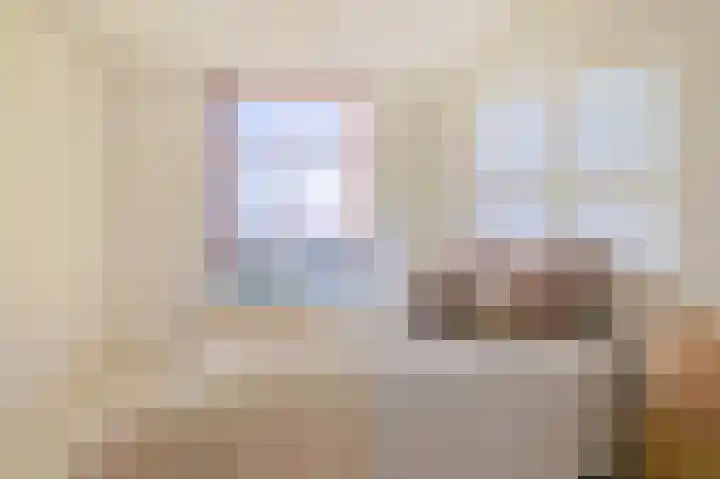 Vossiusstraat 13 D Amsterdam thumbnail 12