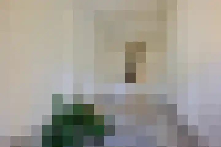 Vossiusstraat 13 D Amsterdam thumbnail 18