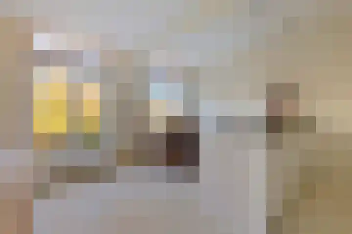 Vossiusstraat 13 D Amsterdam thumbnail 9