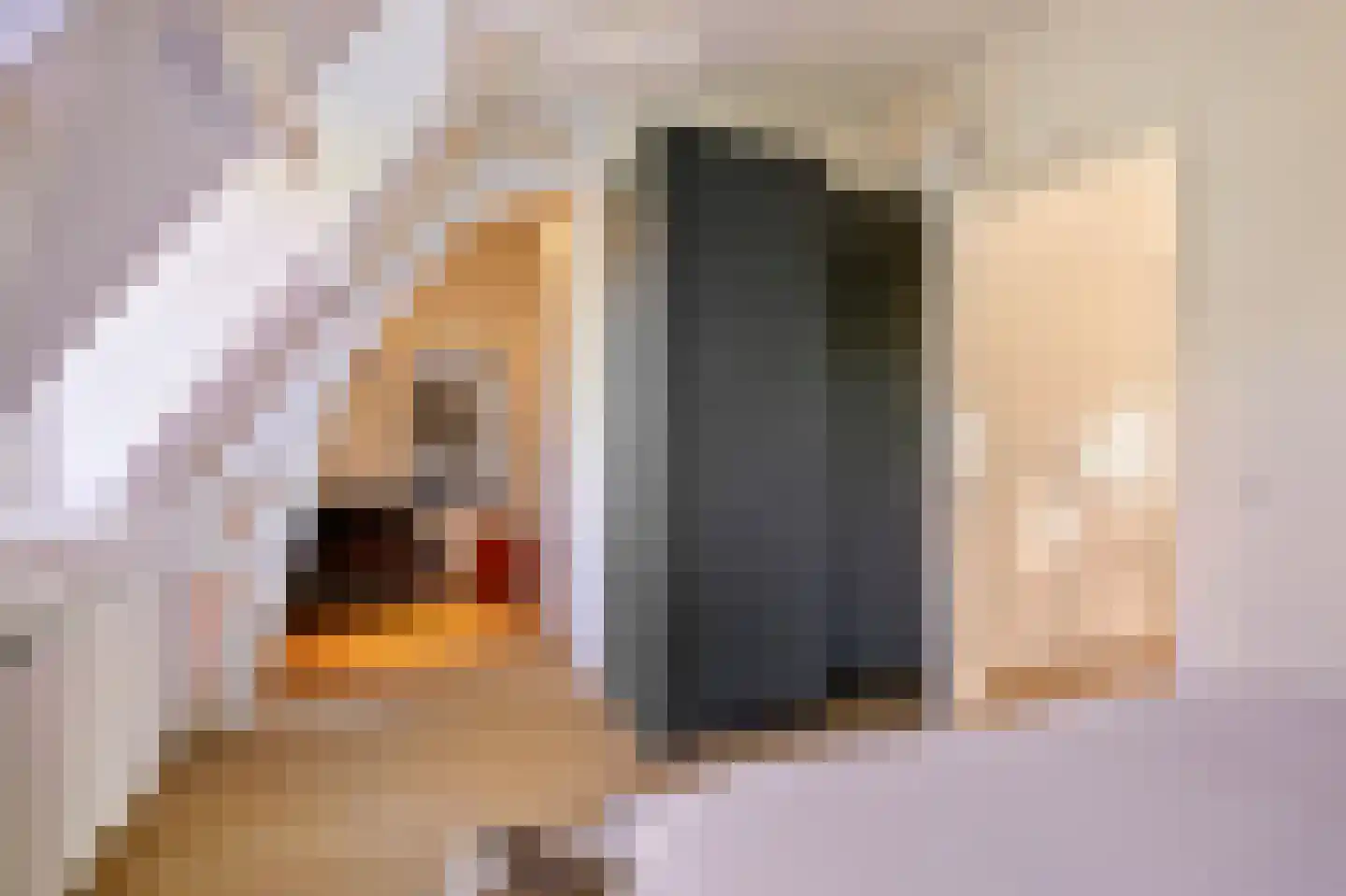 Vossiusstraat 13 E Amsterdam thumbnail 13