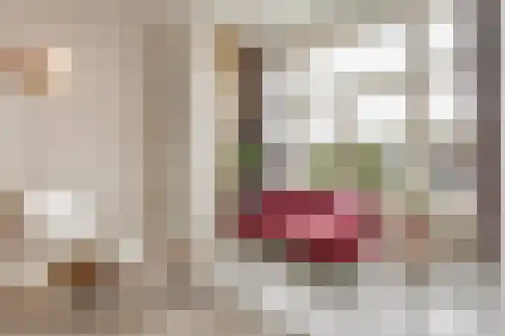 Vossiusstraat 44 H Amsterdam thumbnail 8