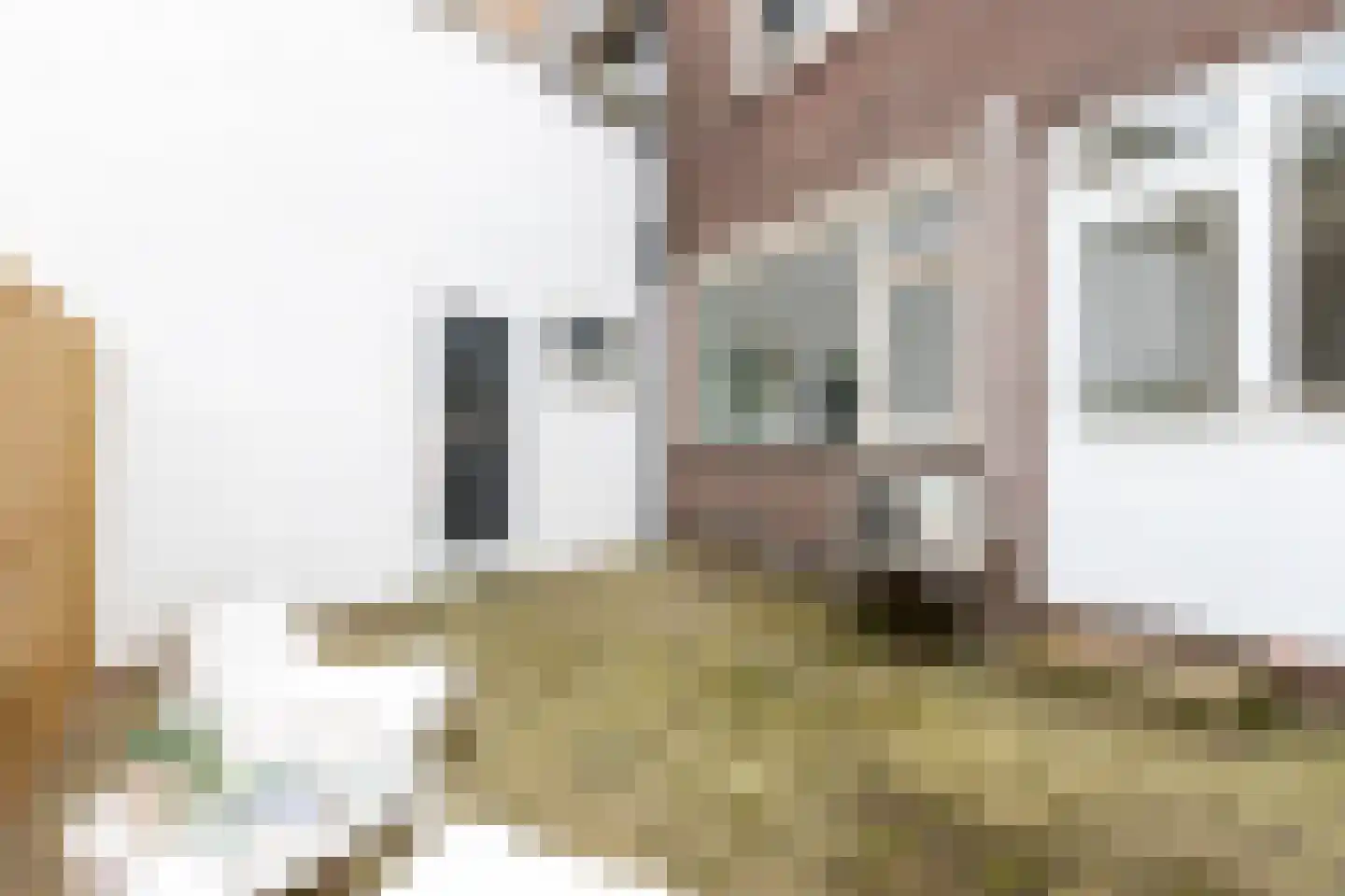 Vossiusstraat 48 Gouda thumbnail 38