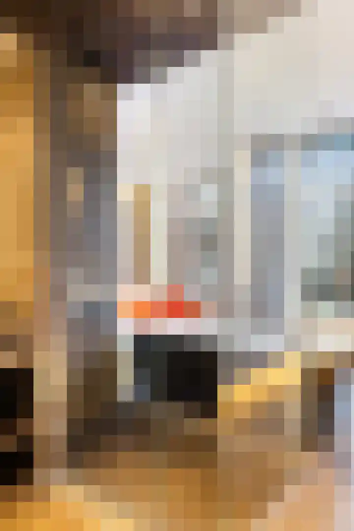 Vossiusstraat 6 C Amsterdam thumbnail 41